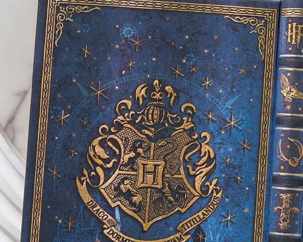 Legends of Hogwarts Carousel 2